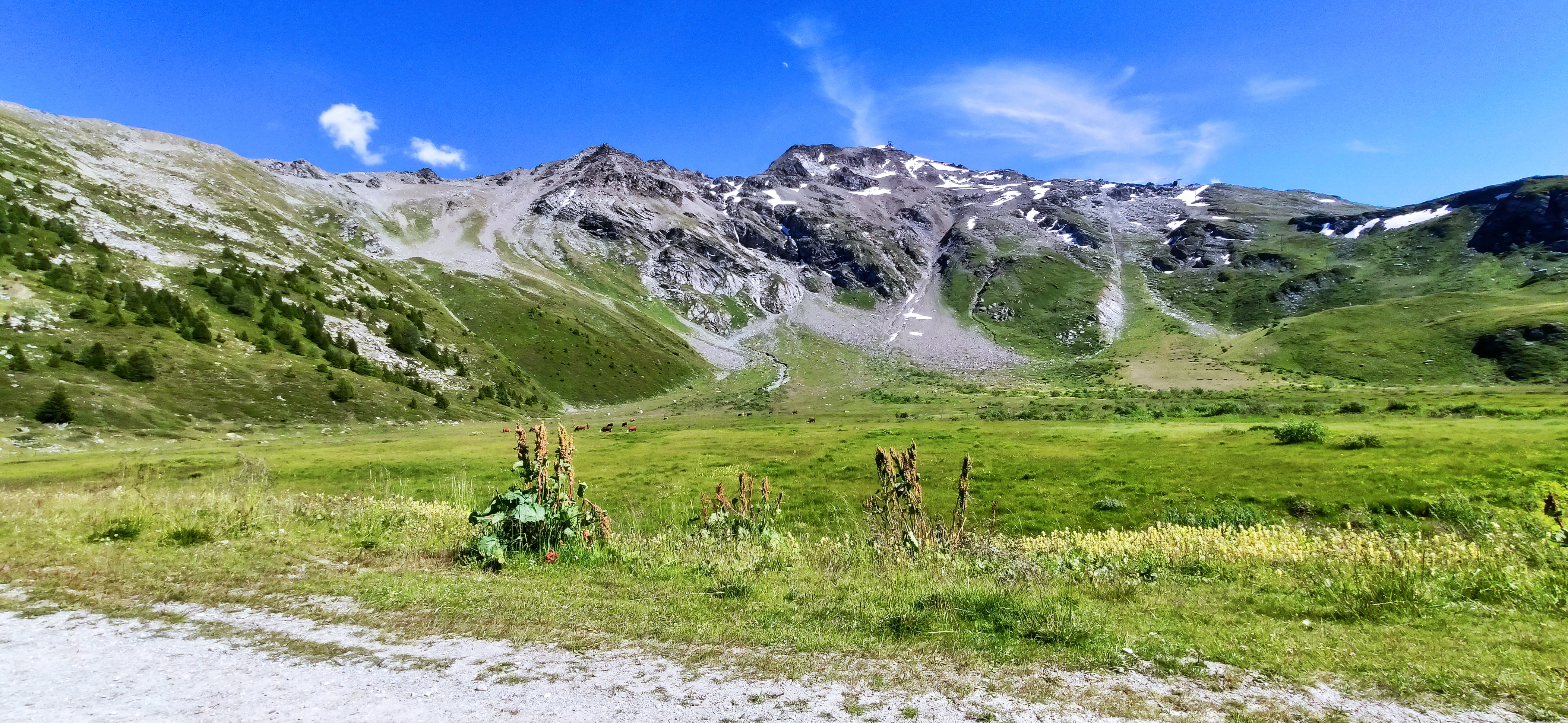 Photo n° 19 de l'avis de Loïc.. fait le 01/08/2020 à 18:32