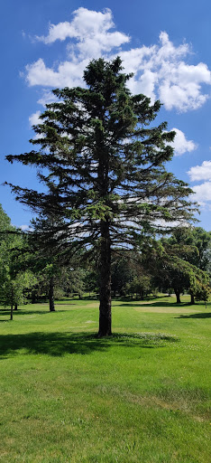 Public Golf Course «Cimarron Golf Course», reviews and photos, 901 Lake Elmo Ave N, Lake Elmo, MN 55042, USA