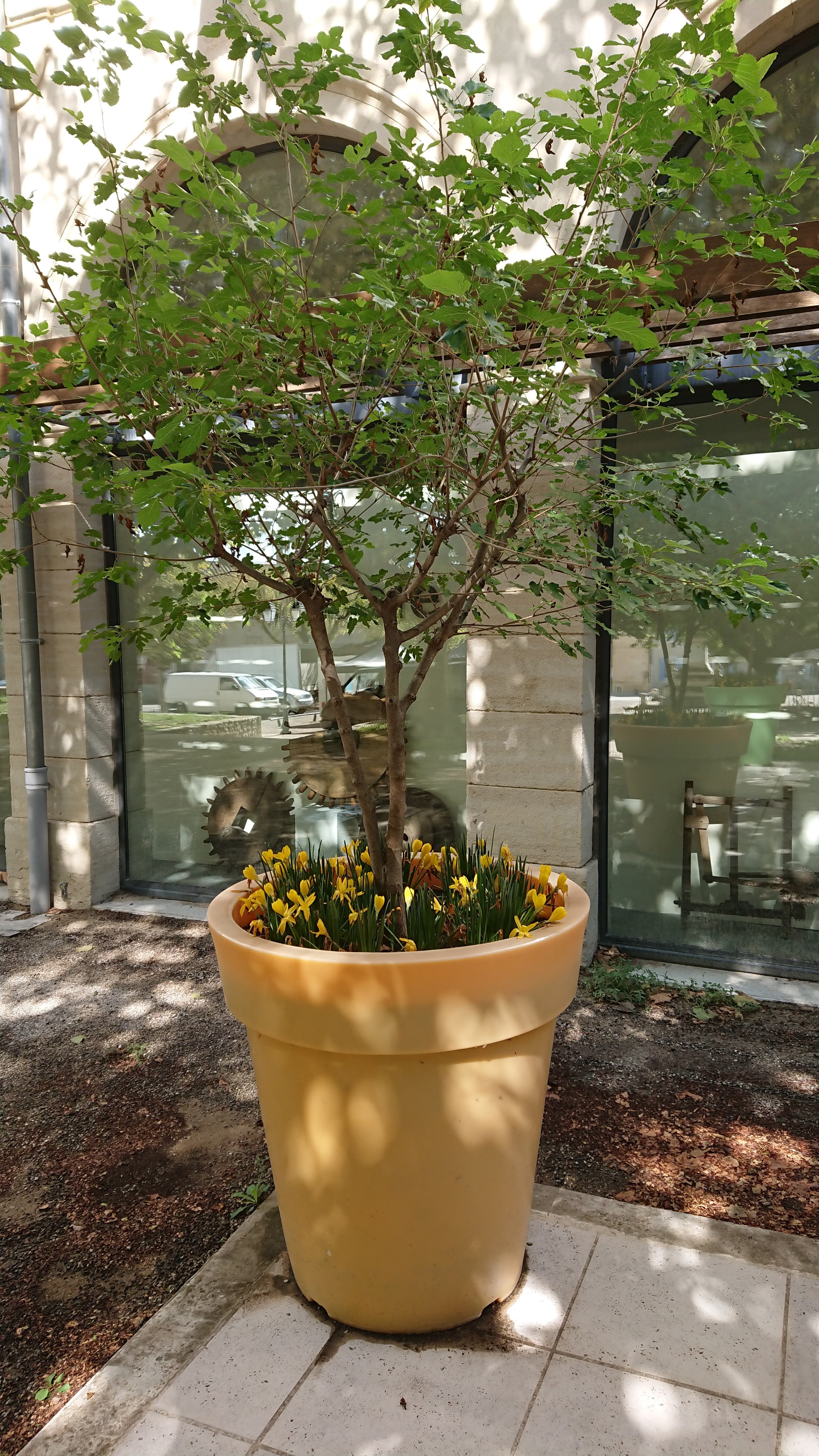 Photo n° 23 de l'avis de Thibaut.o fait le 13/07/2023 à 13:03