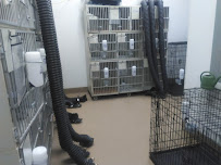 Petco - Photo 5 - Car repair in Irving, TX, Arlington