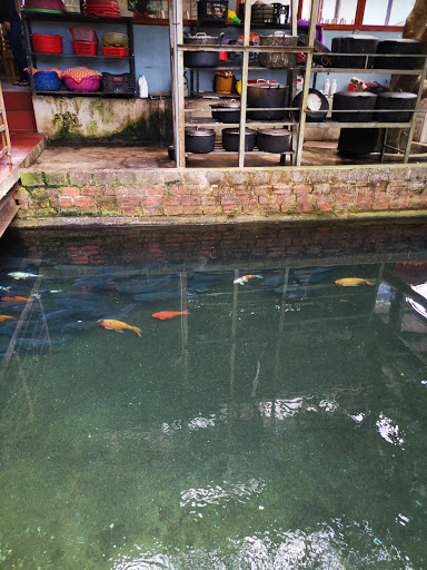 Top 17 cửa hàng brother Huyện Mộc Châu Sơn La 2022