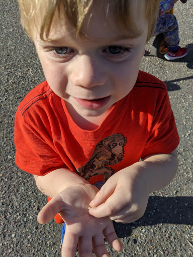 Child Care Agency «Little Folks Daycare», reviews and photos, 6226 Bass Lake Rd, Crystal, MN 55428, USA