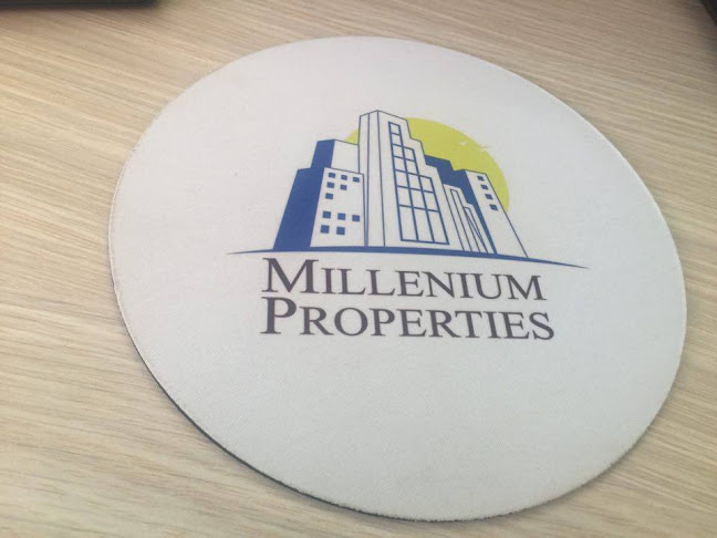 Comentarii opinii despre Millenium Properties