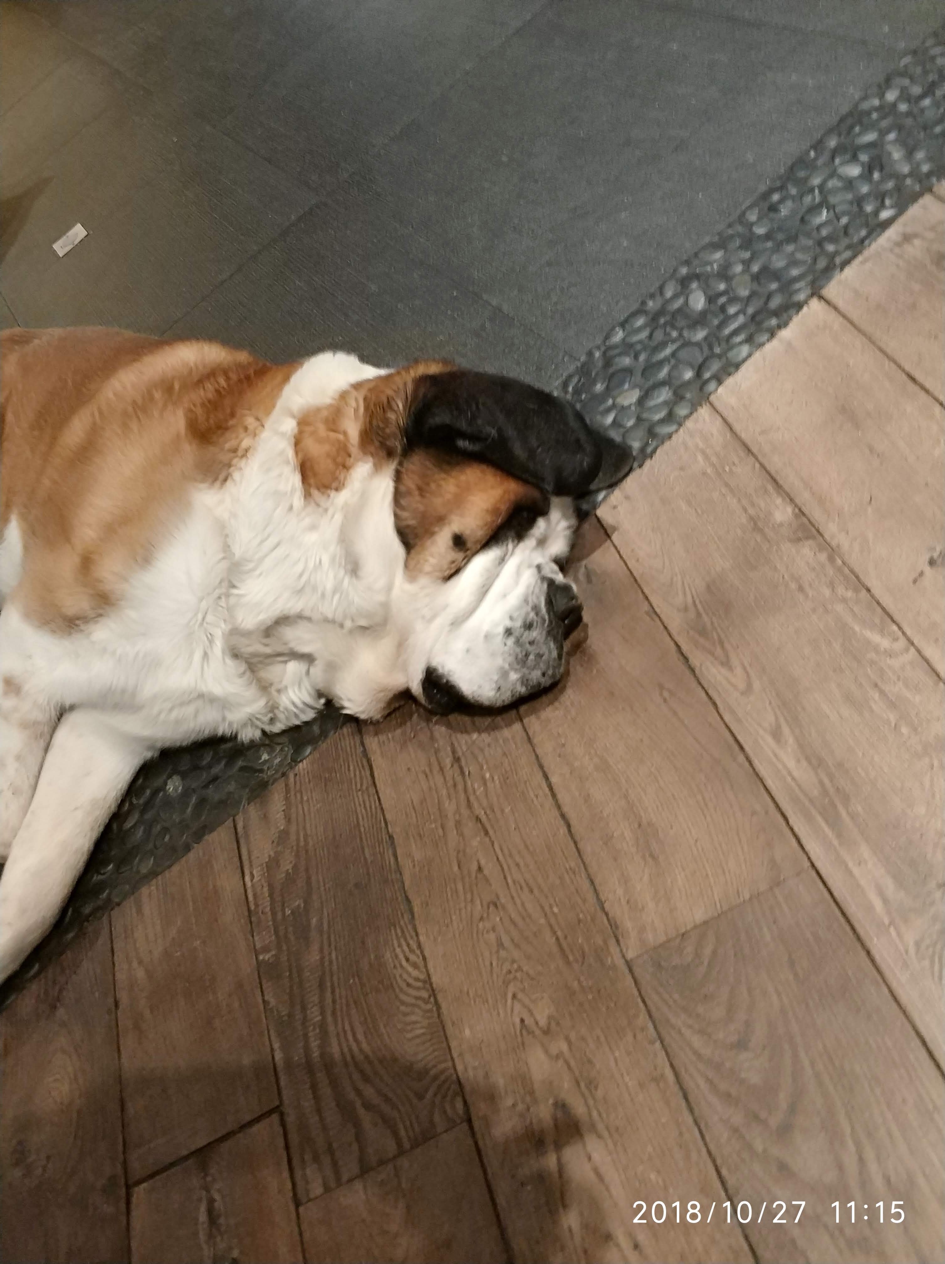 Photo n° 1 de l'avis de Patricia.l fait le 26/11/2018 à 21:38