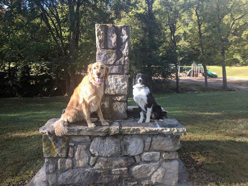 Dog Trainer «Off Leash K9 Training, Charlottesville», reviews and photos, 8782 Seminole Trail, Ruckersville, VA 22968, USA