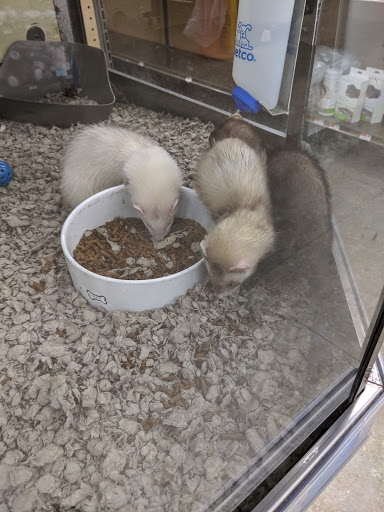 Pet Supply Store «Petco Animal Supplies», reviews and photos, 1215-1309 NJ-33 #1, Hamilton Township, NJ 08690, USA