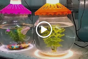 SREE AQUARIUM & PETS image