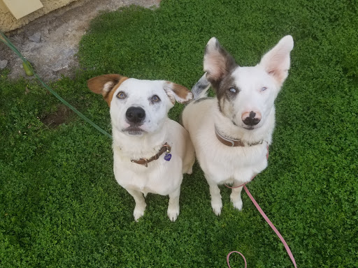 Pet Supply Store «Petco Animal Supplies», reviews and photos, 1835 E Guadalupe Rd #112, Tempe, AZ 85283, USA