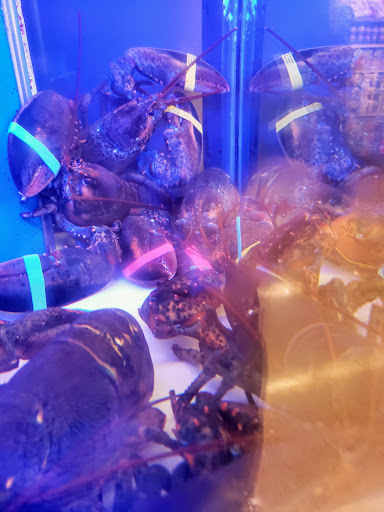 Grocery Store «Albertsons», reviews and photos, 861 E Warner Rd, Gilbert, AZ 85296, USA