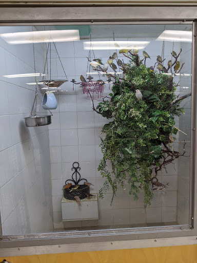 Bird Shop «Arizona Bird Store», reviews and photos, 565 S Dobson Rd, Mesa, AZ 85202, USA