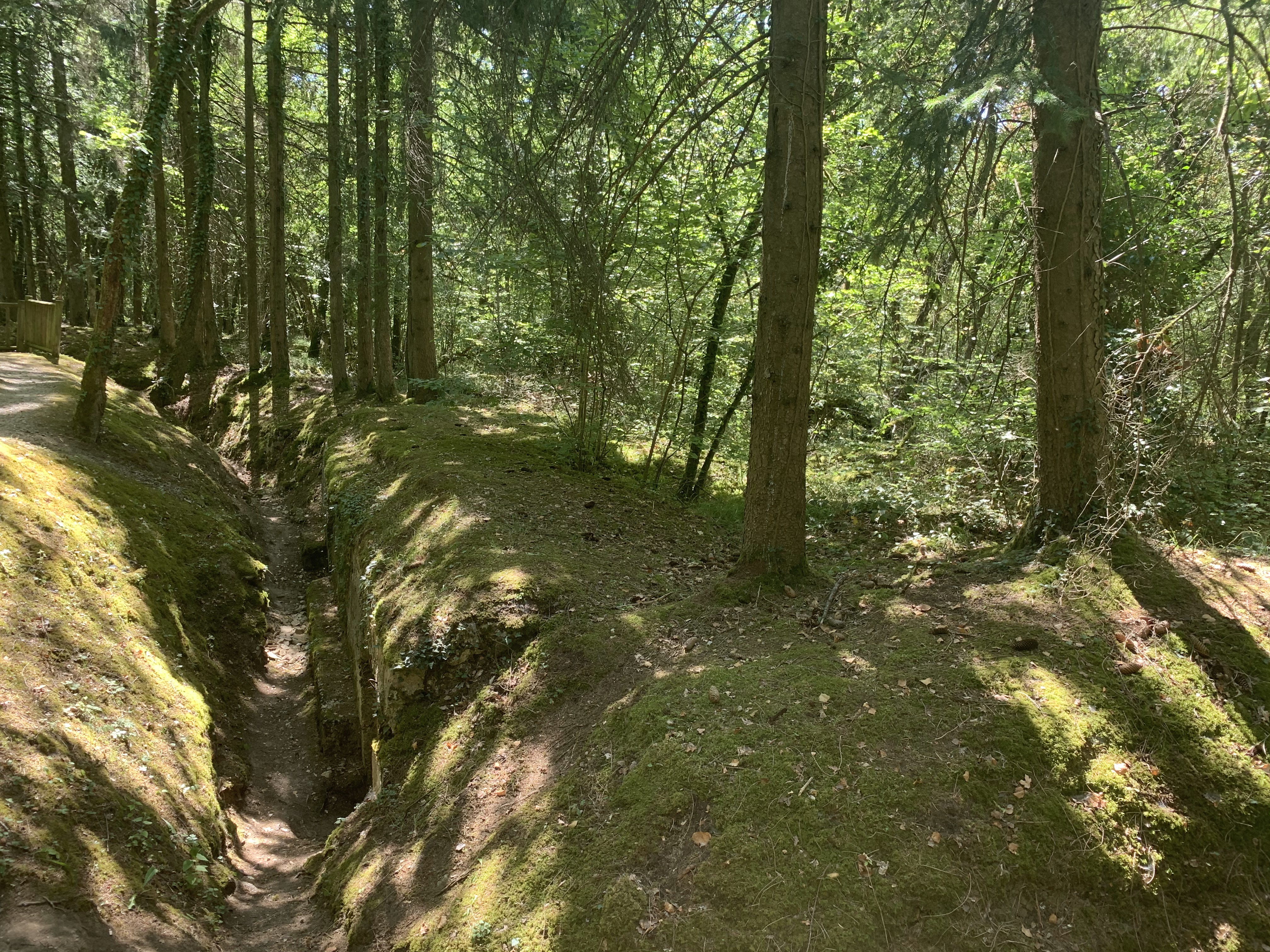 Photo n° 11 de l'avis de Ivo. fait le 18/08/2020 à 21:12