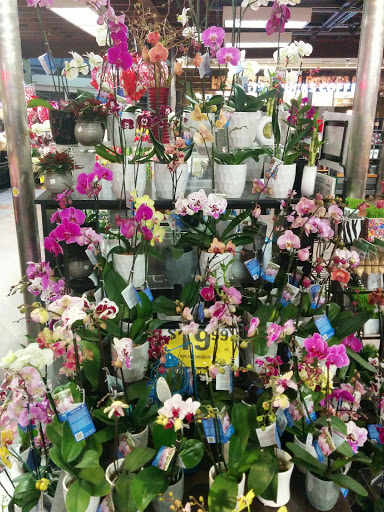 Grocery Store «Ralphs», reviews and photos, 1666 Rosecrans St, San Diego, CA 92106, USA