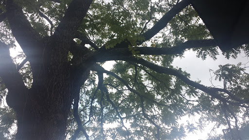 Winery «CeNita Vineyards, Winery & Tasting Room», reviews and photos, 591 Dock Dorsey Rd, Cleveland, GA 30528, USA