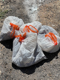 Pup Clean Up - Photo 8 - Car repair in , Modesto