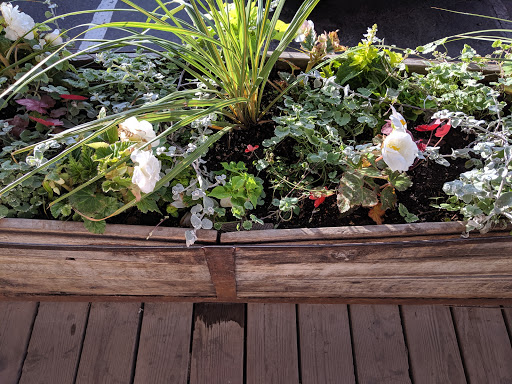 Bar & Grill «Garage on Beck», reviews and photos, 1199 Beck St, Salt Lake City, UT 84103, USA