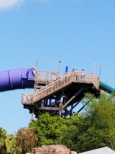 Water Park «Adventure Island», reviews and photos, 10001 N Malcolm McKinley Dr, Tampa, FL 33612, USA