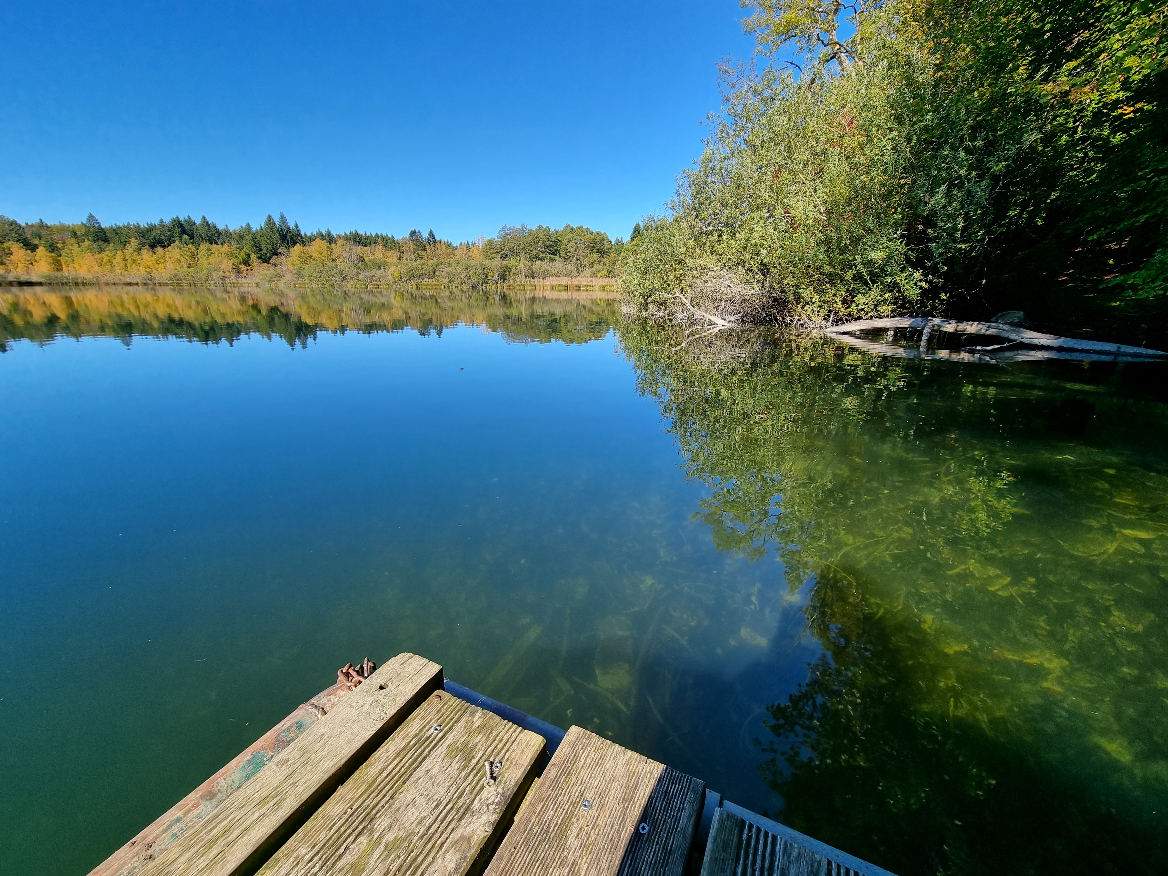 Photo n° 1 de l'avis de Viktória.i fait le 16/10/2021 à 14:46