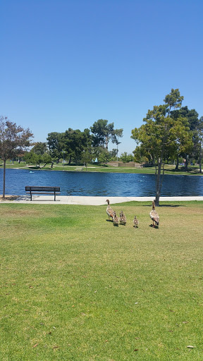 Park «Don Knabe Community Regional Park», reviews and photos, 19700 Bloomfield Ave, Cerritos, CA 90703, USA