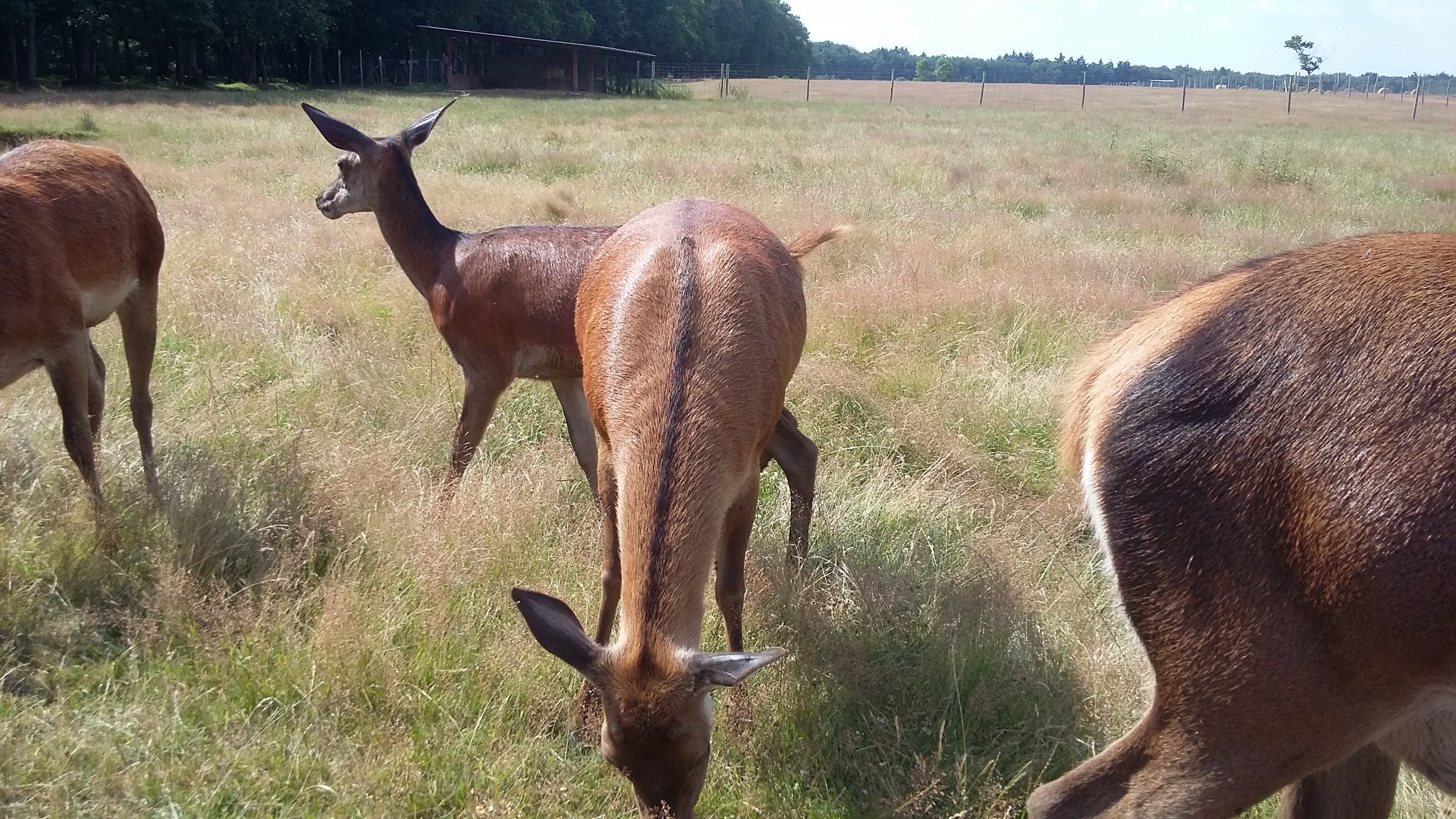 Photo n° 2 de l'avis de Svetlana. fait le 08/07/2018 à 17:25