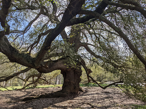 Park «Holmes Park», reviews and photos, Twin Lake Rd, Greenville, SC 29609, USA