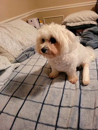 18675 S Dixie Hwy, Cutler Bay, FL 33157, USA