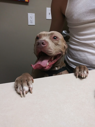 2528 W Tharpe St, Tallahassee, FL 32303, USA