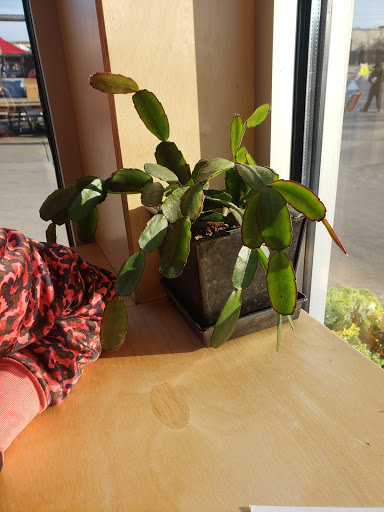 Coffee Shop «Kickapoo Coffee - Viroqua Cafe», reviews and photos, 302 S Main St, Viroqua, WI 54665, USA