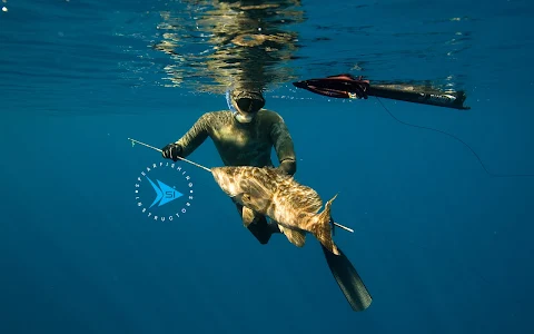 Spearfishing Instructors image
