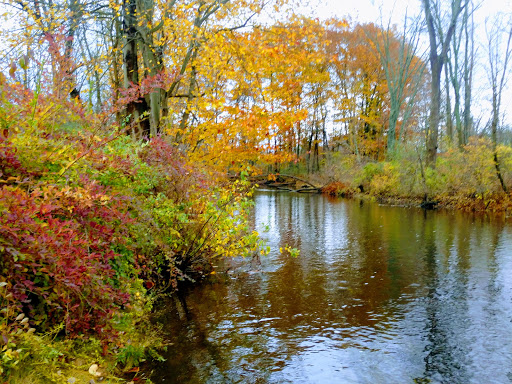 Mill «Sharon Mills County Park», reviews and photos, 5701 Sharon Hollow Rd, Manchester, MI 48158, USA