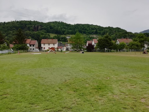 Formation Club Canin de la MOSELOTTE à Saulxures-sur-Moselotte, Vosges