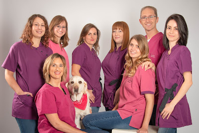 Clinique vétérinaire des 1001 pattes à Marlenheim