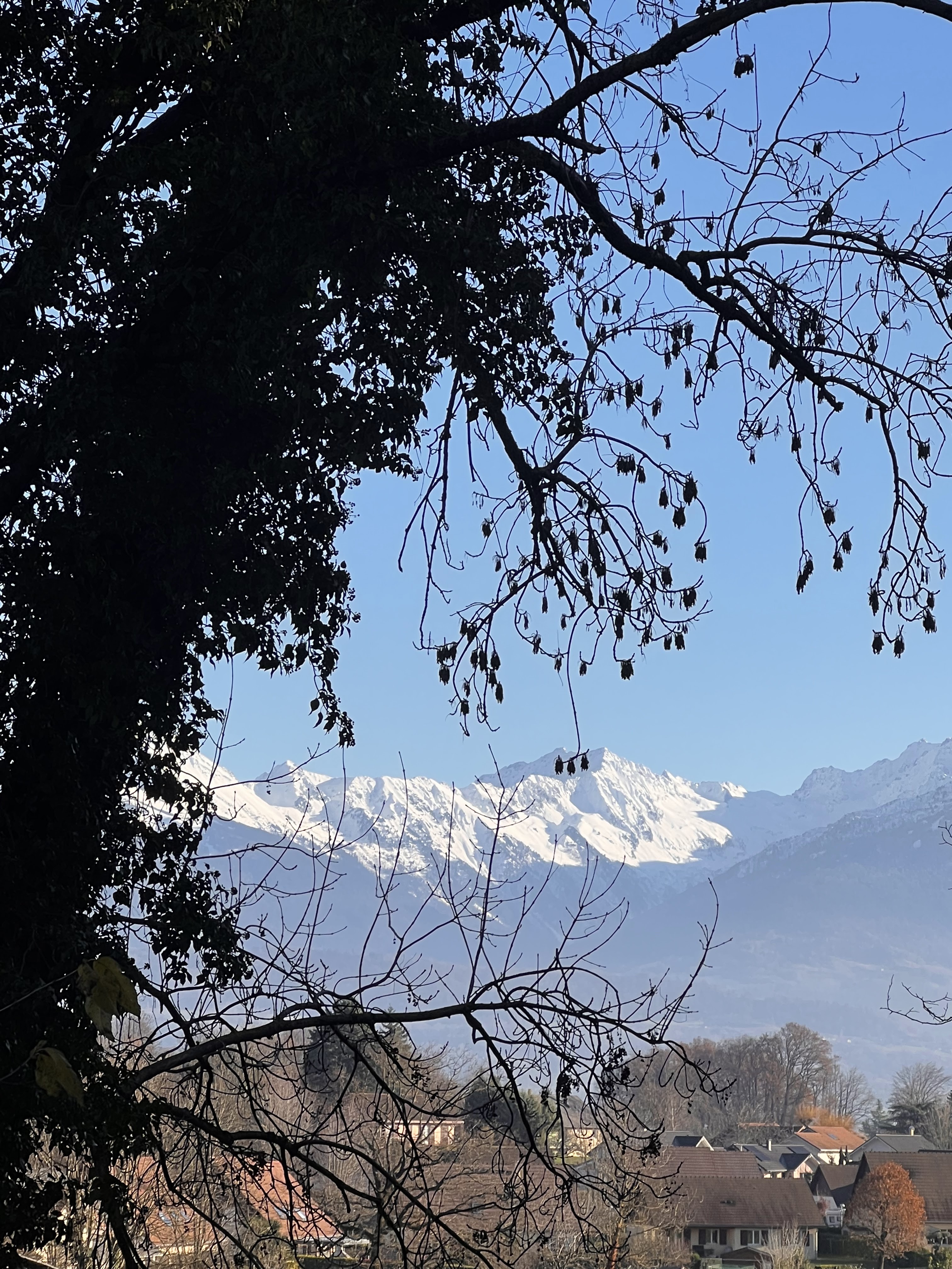 Photo n° 4 de l'avis de Joseph.r fait le 31/12/2023 à 17:55