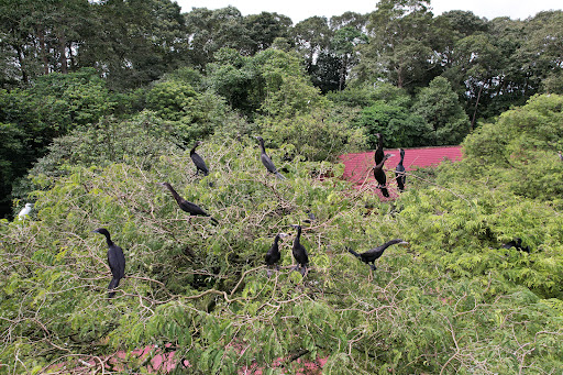 Top 20 cửa hàng tôn Huyện Châu Thành Trà Vinh 2022