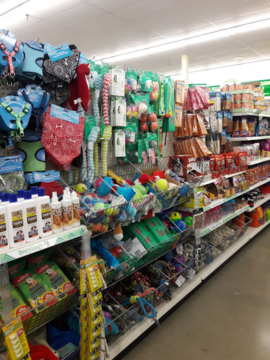 Dollar Store «Dollar Tree», reviews and photos, 263 S Weber Rd, Romeoville, IL 60446, USA