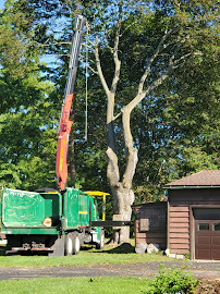 The Davey Tree Expert Company - Photo 3 - Car repair in Rochester, NY, Rochester