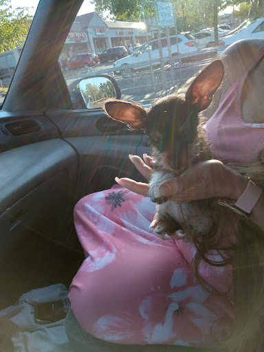 Pet Supply Store «Pet Pros Benson in Renton», reviews and photos, 10583 SE Carr Rd, Renton, WA 98055, USA