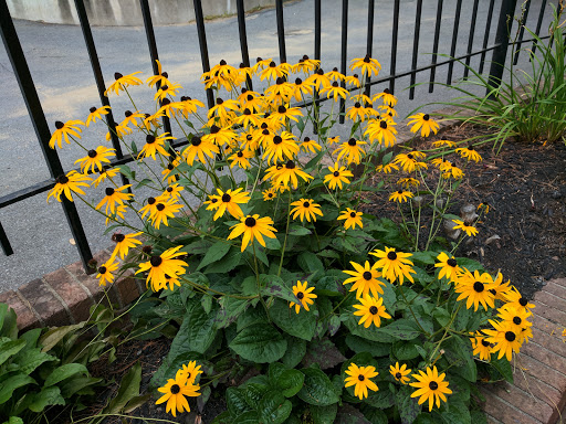 Theme Park «The Great Escape & Splashwater Kingdom», reviews and photos, 89 Six Flags Dr, Queensbury, NY 12804, USA