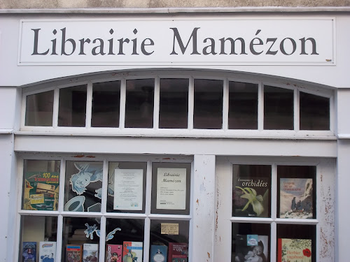 Librairie MAMEZON à Montolieu