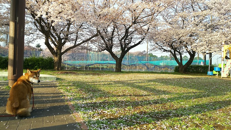 鶴ヶ岡公園