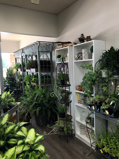 Florist «Kinsch Village Florist & Garden Center», reviews and photos, 301 Johnson St, Palatine, IL 60067, USA