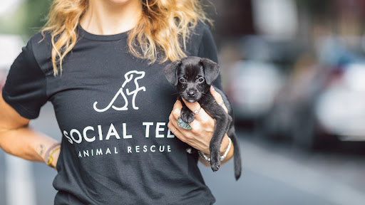 Social Tees Animal Rescue Office
