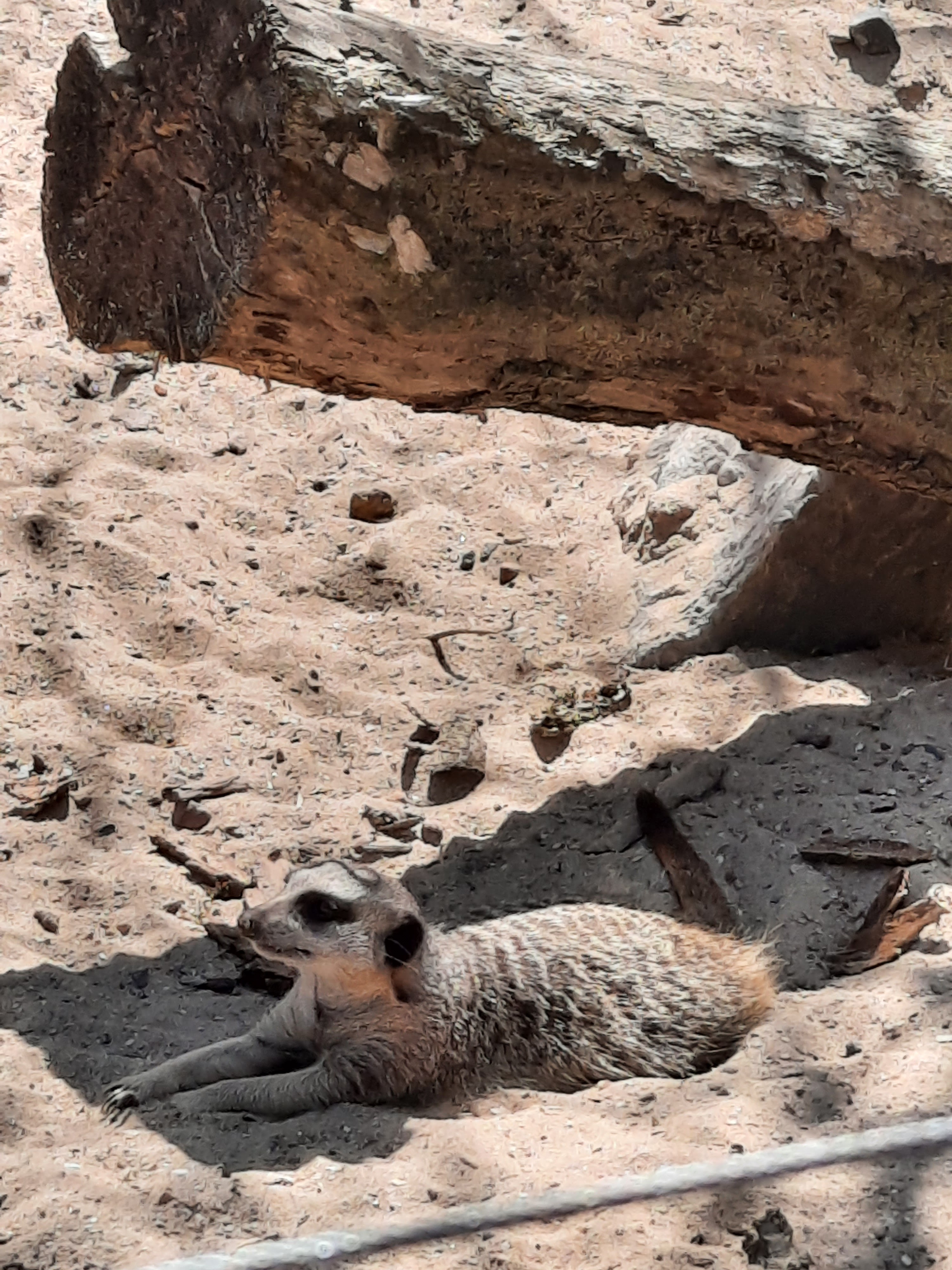 Photo n° 10 de l'avis de Gilda.i fait le 04/06/2023 à 15:22