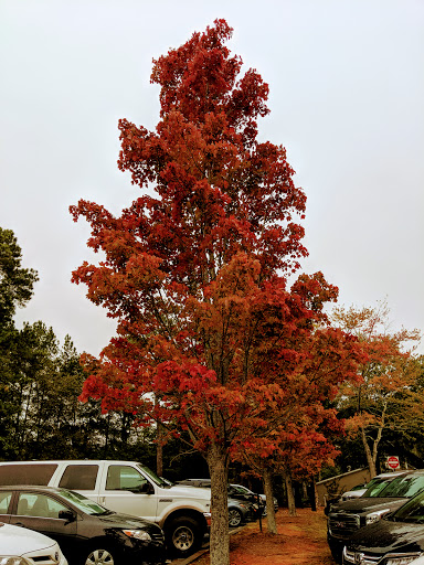 Park «Roswell Area Park», reviews and photos, 10495 Woodstock Rd, Roswell, GA 30075, USA