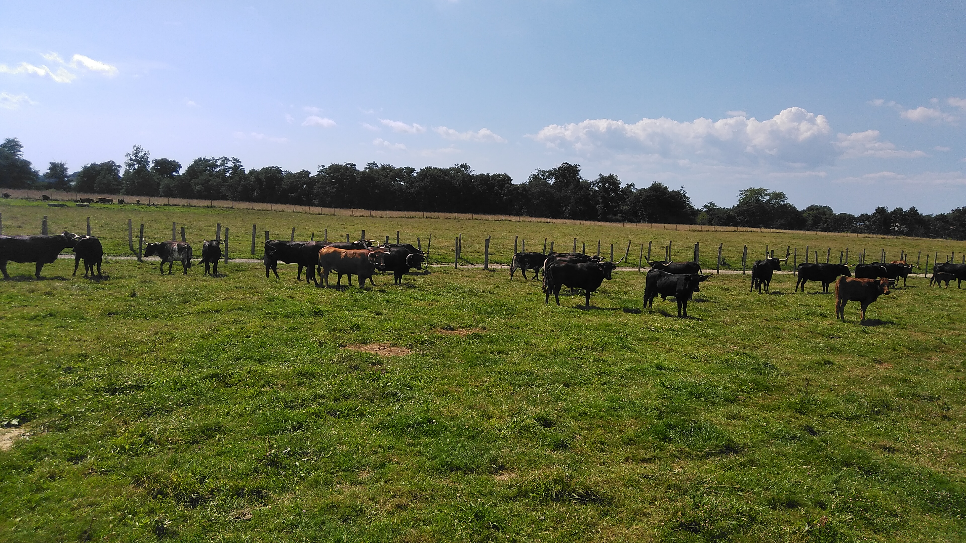 Photo n° 2 de l'avis de Françoise.e fait le 06/07/2022 à 17:27