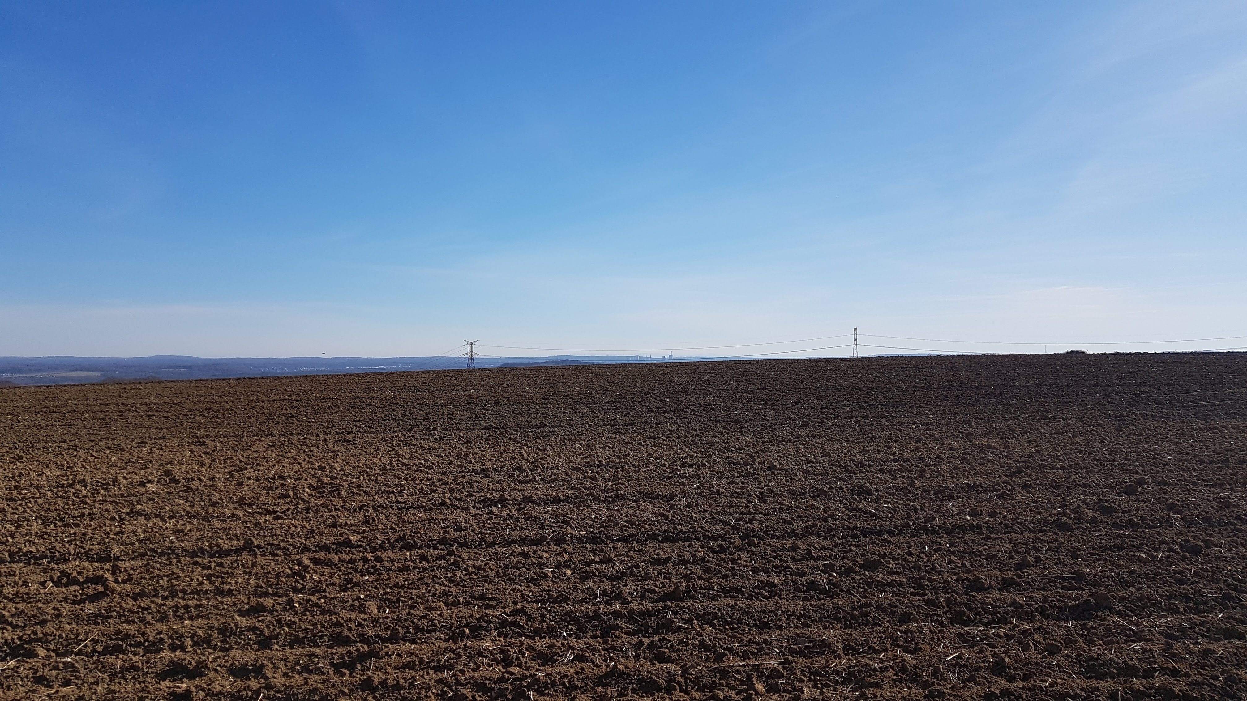 Photo n° 5 de l'avis de pierre.e fait le 26/02/2019 à 18:13