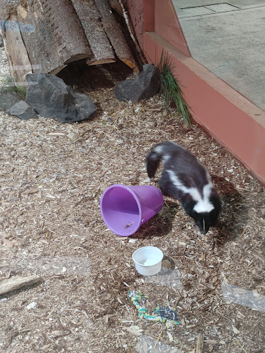 Aquarium «Great Lakes Aquarium», reviews and photos, 353 Harbor Dr, Duluth, MN 55802, USA