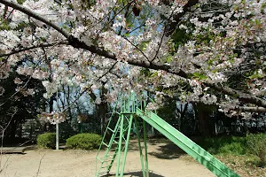 Gotenyama Park image