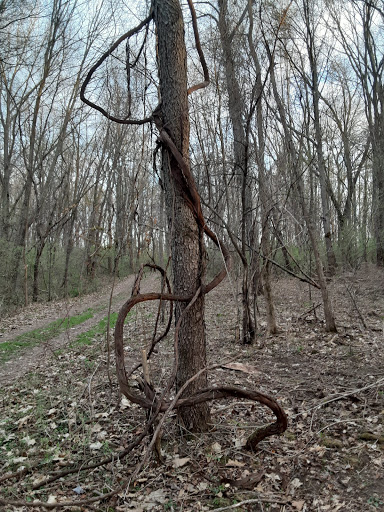 Bird Watching Area «Haehnle Sanctuary», reviews and photos, Seymour Rd, Pleasant Lake, MI 49272, USA