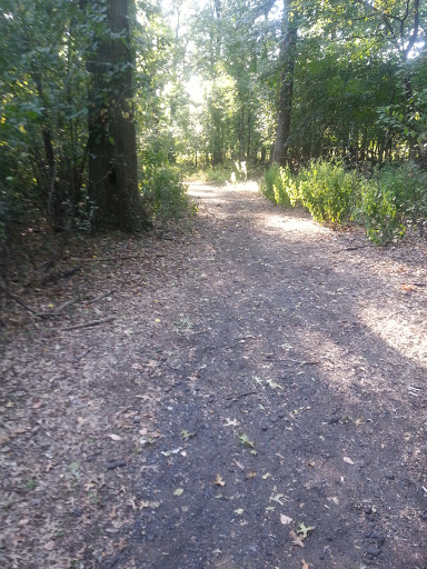 Park «Conant Park», reviews and photos, 310 Conant St, Hillside, NJ 07205, USA