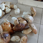 Photo n°4 de l'avis de paola.e fait le 22/10/2023 à 13:07 sur le  Trattoria Pizzeria Moderno à San Martino al Cimino